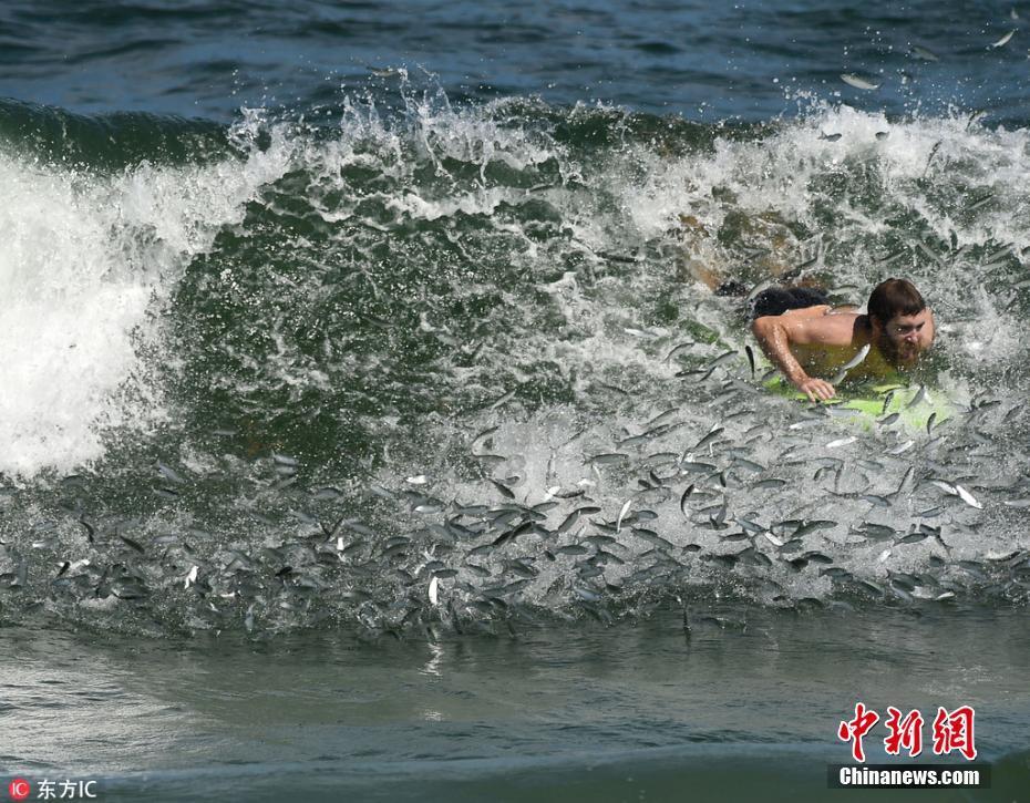 太阳浩劫